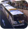 Brisbane Transport Articulated Buses